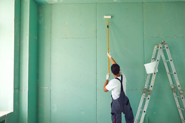 Best Attic Mold Removal  in Nazareth College, NY