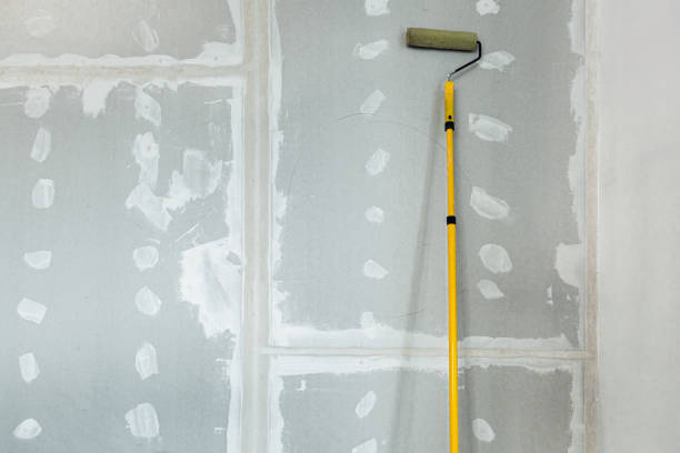 Best Biohazard Mold Removal  in Nazareth College, NY