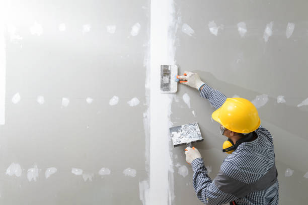 Best Attic Mold Removal  in Nazareth College, NY