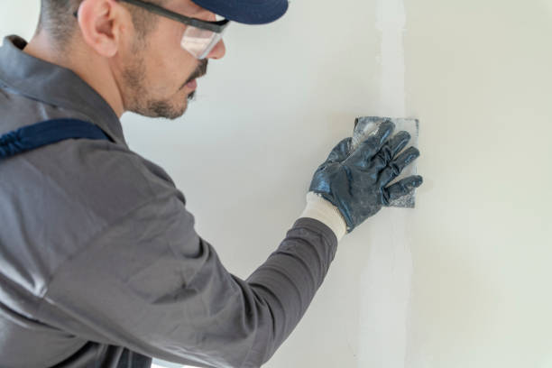 Best Black Mold Removal  in Nazareth College, NY