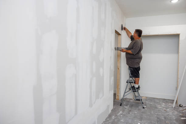 Mold Remediation for Rental Properties in Nazareth College, NY