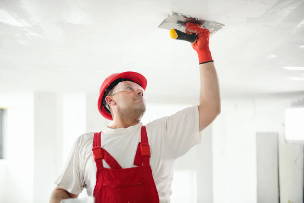 Best Commercial Mold Inspection  in Nazareth College, NY