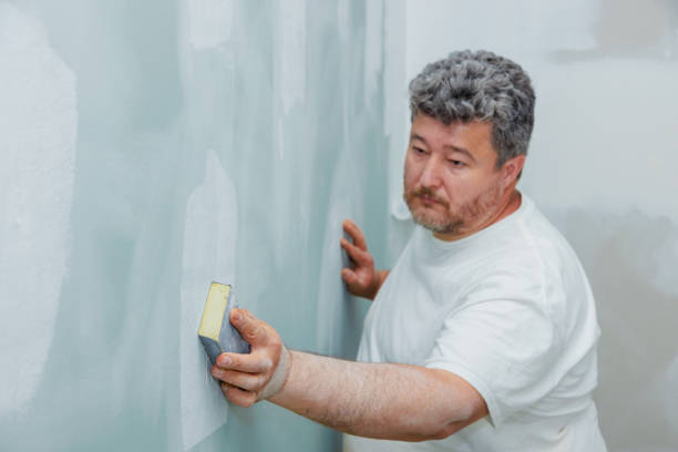 Best Mold Remediation for Rental Properties  in Nazareth College, NY