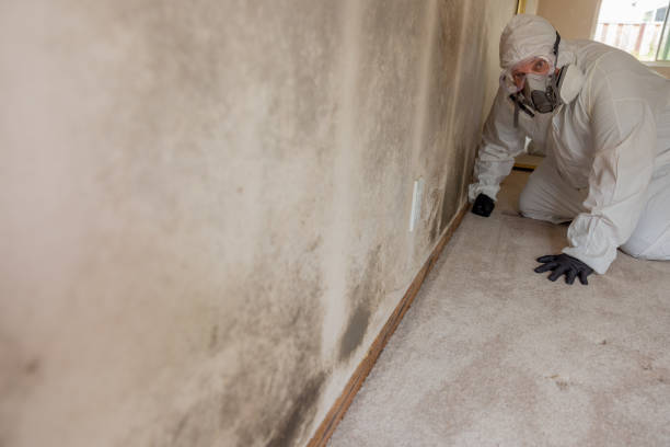 Best Emergency Mold Remediation  in Nazareth College, NY