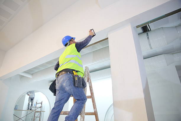Best Emergency Mold Remediation  in Nazareth College, NY