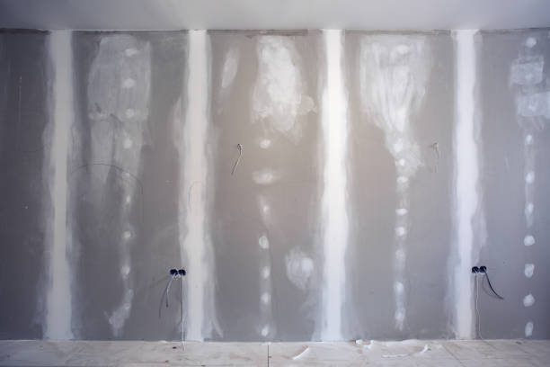  Nazareth College, NY Mold Removal Pros