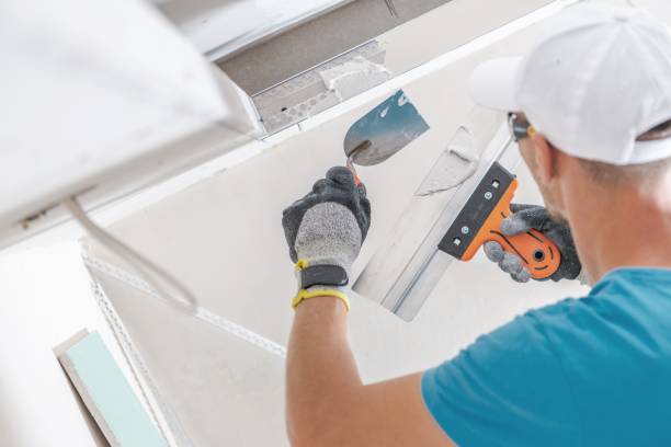 Best Mold Damage Restoration  in Nazareth College, NY